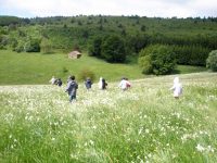 enfants courent hautes chaumes