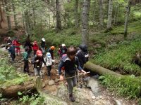 enfants dans la foret