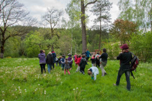 groupe enfants arbres