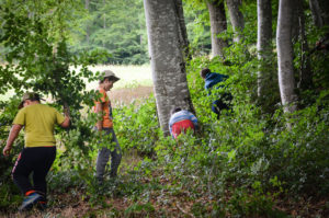 enfants forêt